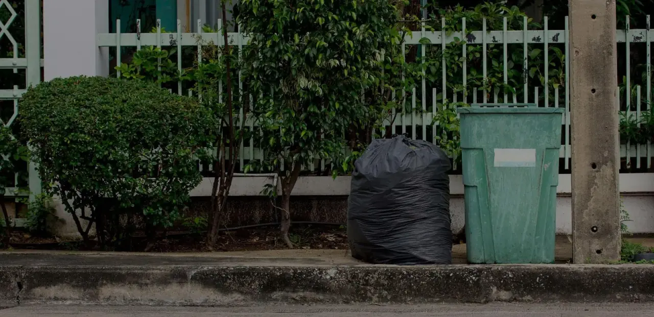 Our service work by City Junk and Gardening