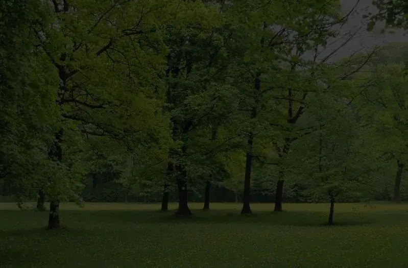Why We Love Green Spaces