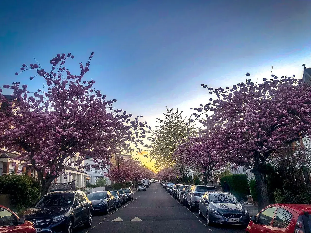 The new waste plan for Enfield