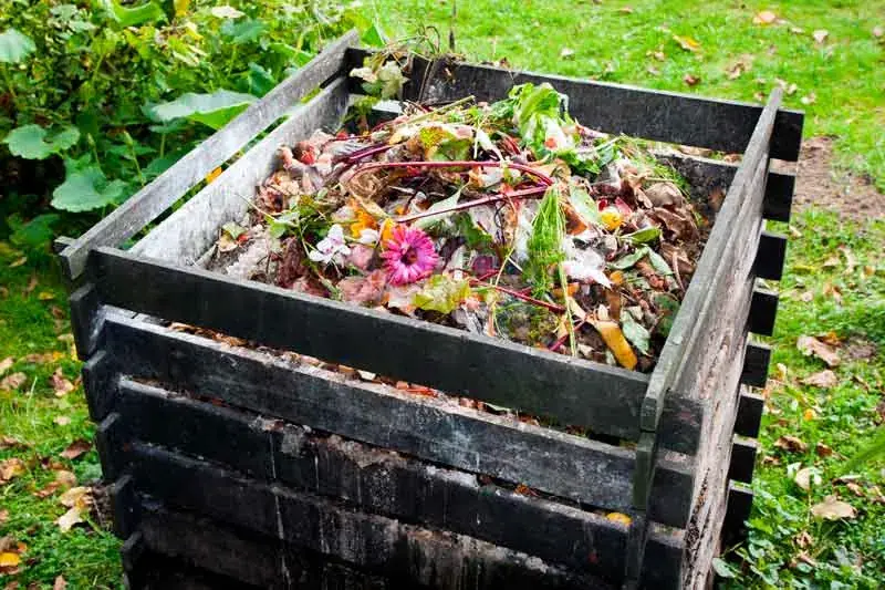 London view for Bromley